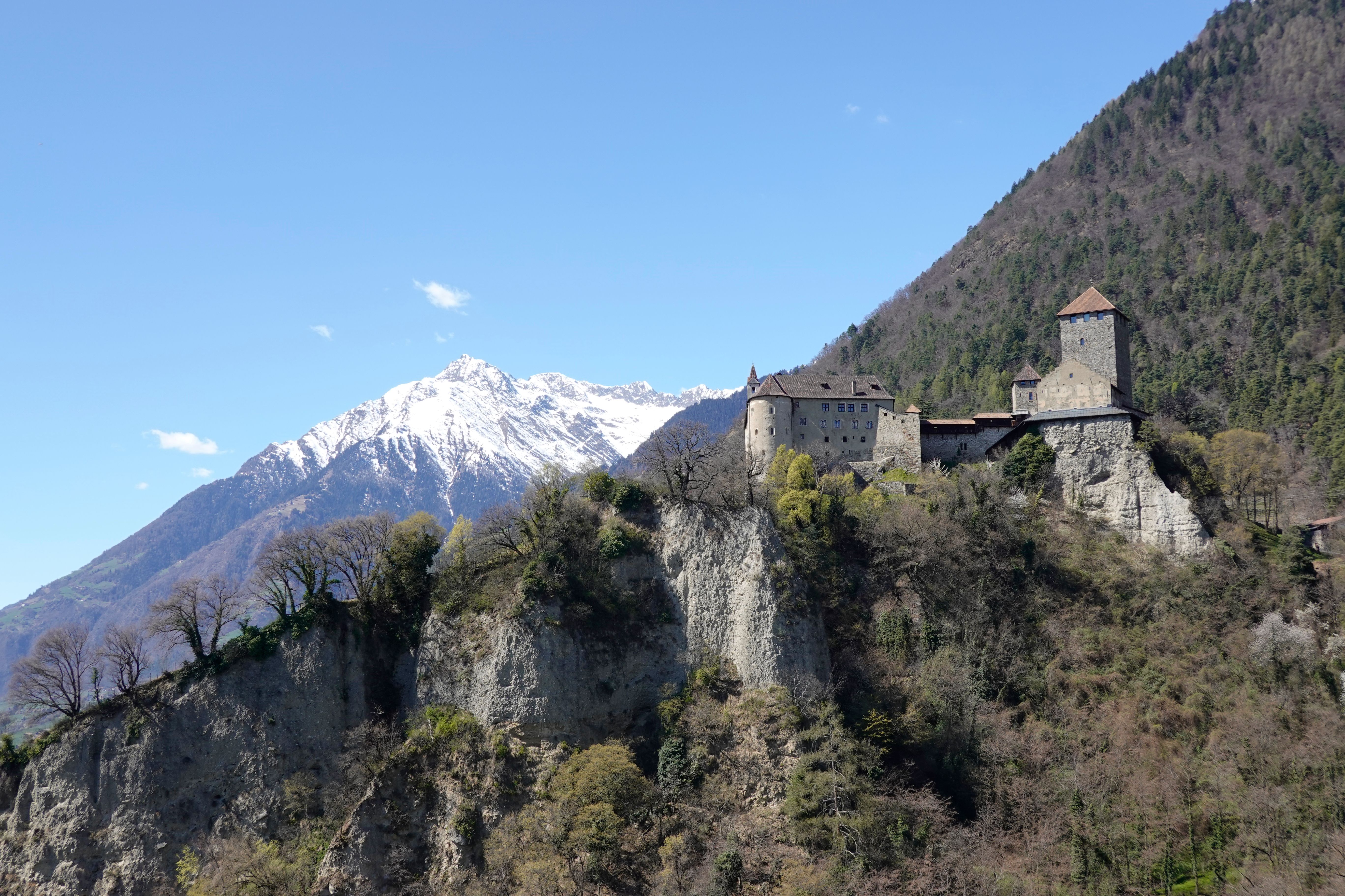 Cover 31 of 31 for "Meran"