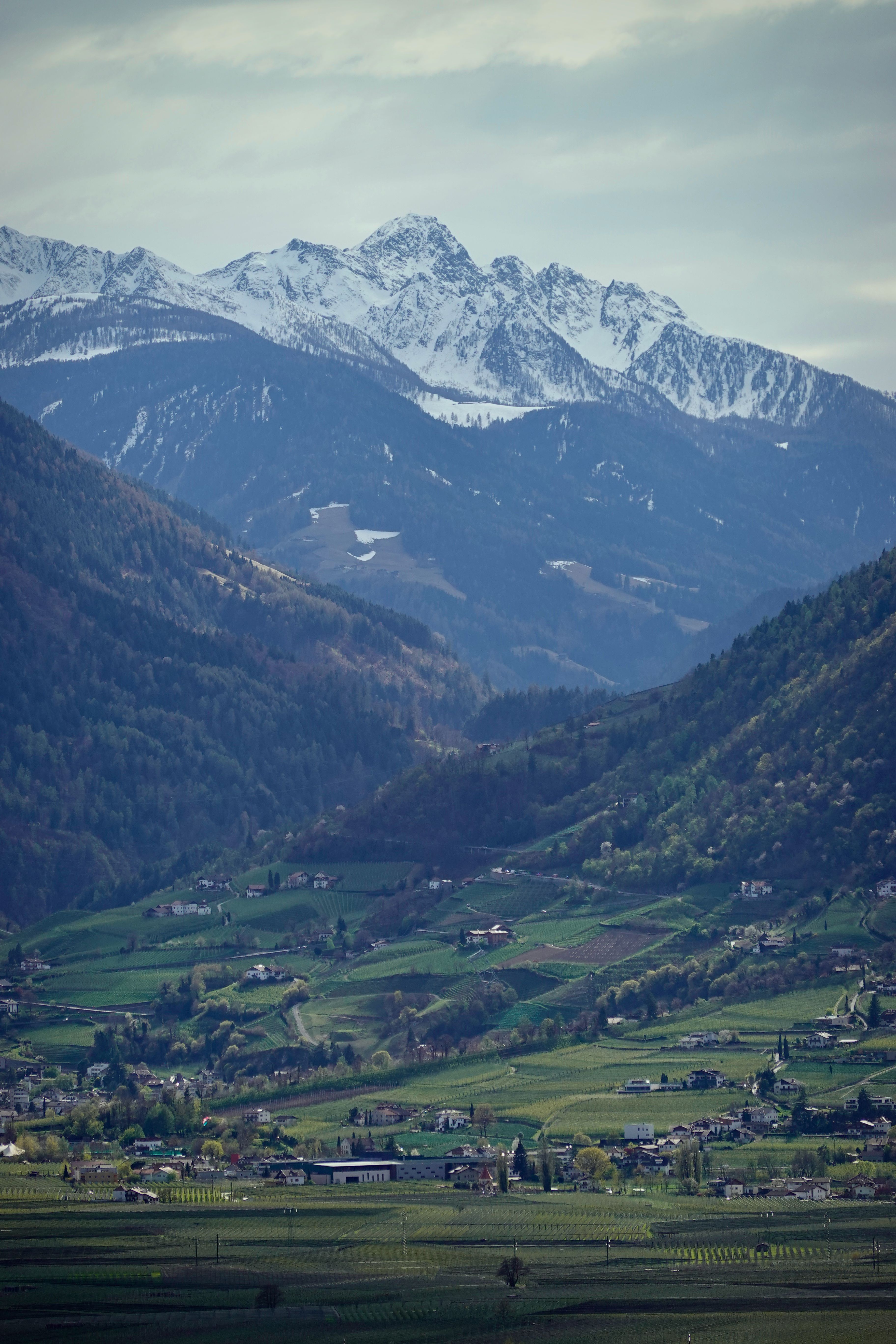 Cover 21 of 31 for "Meran"