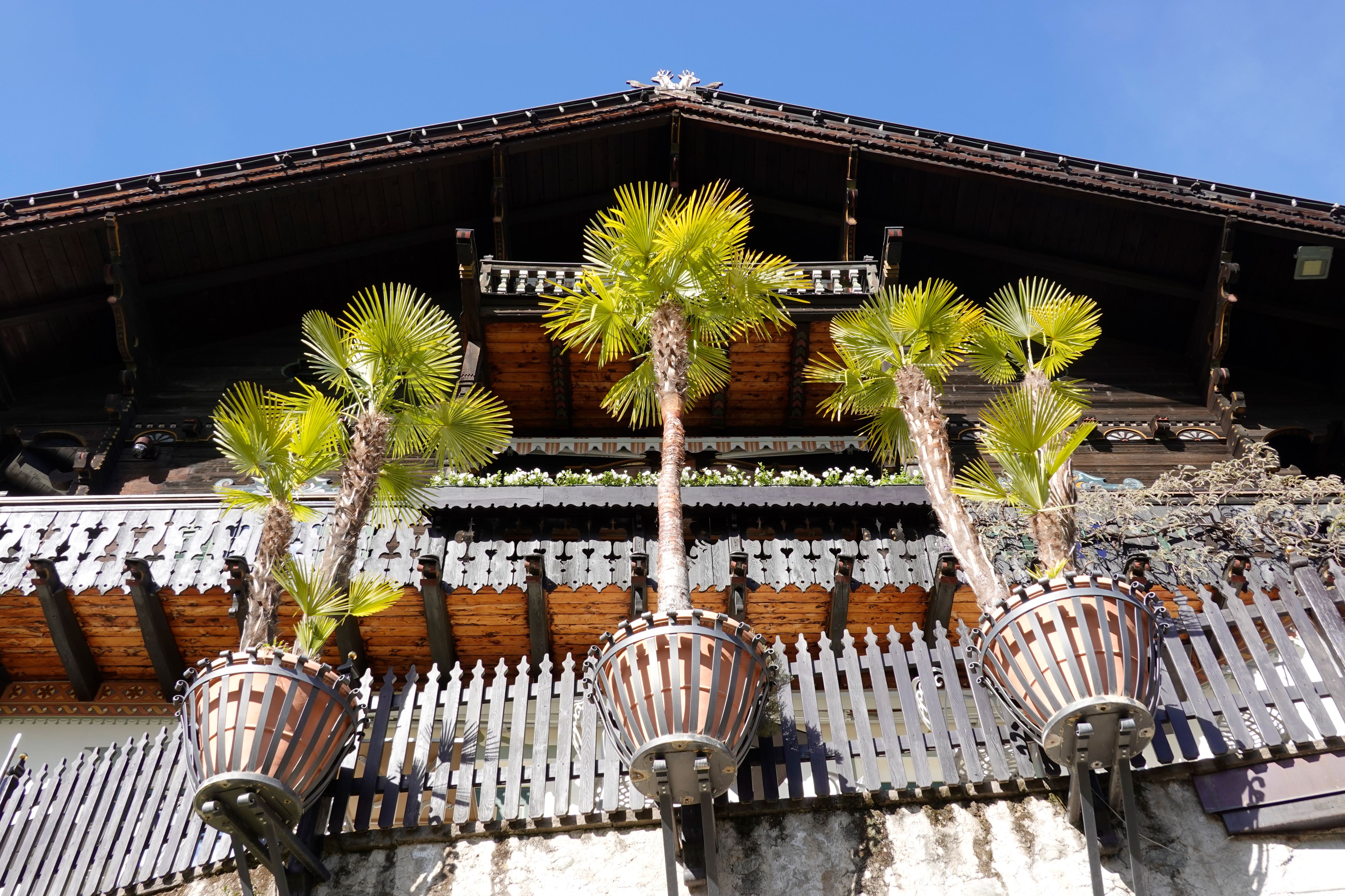 Cover 17 of 31 for "Meran"