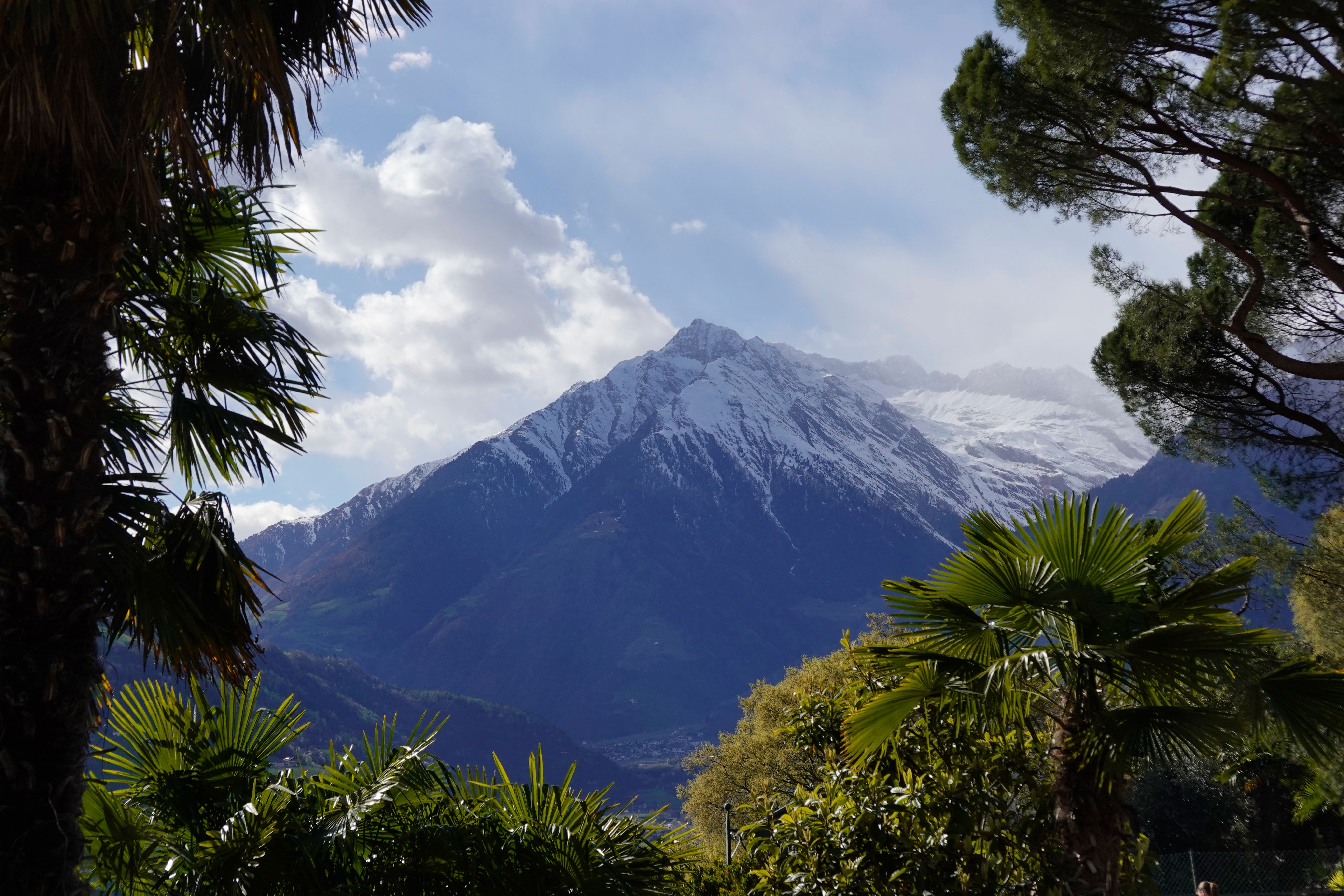 Cover 16 of 31 for "Meran"