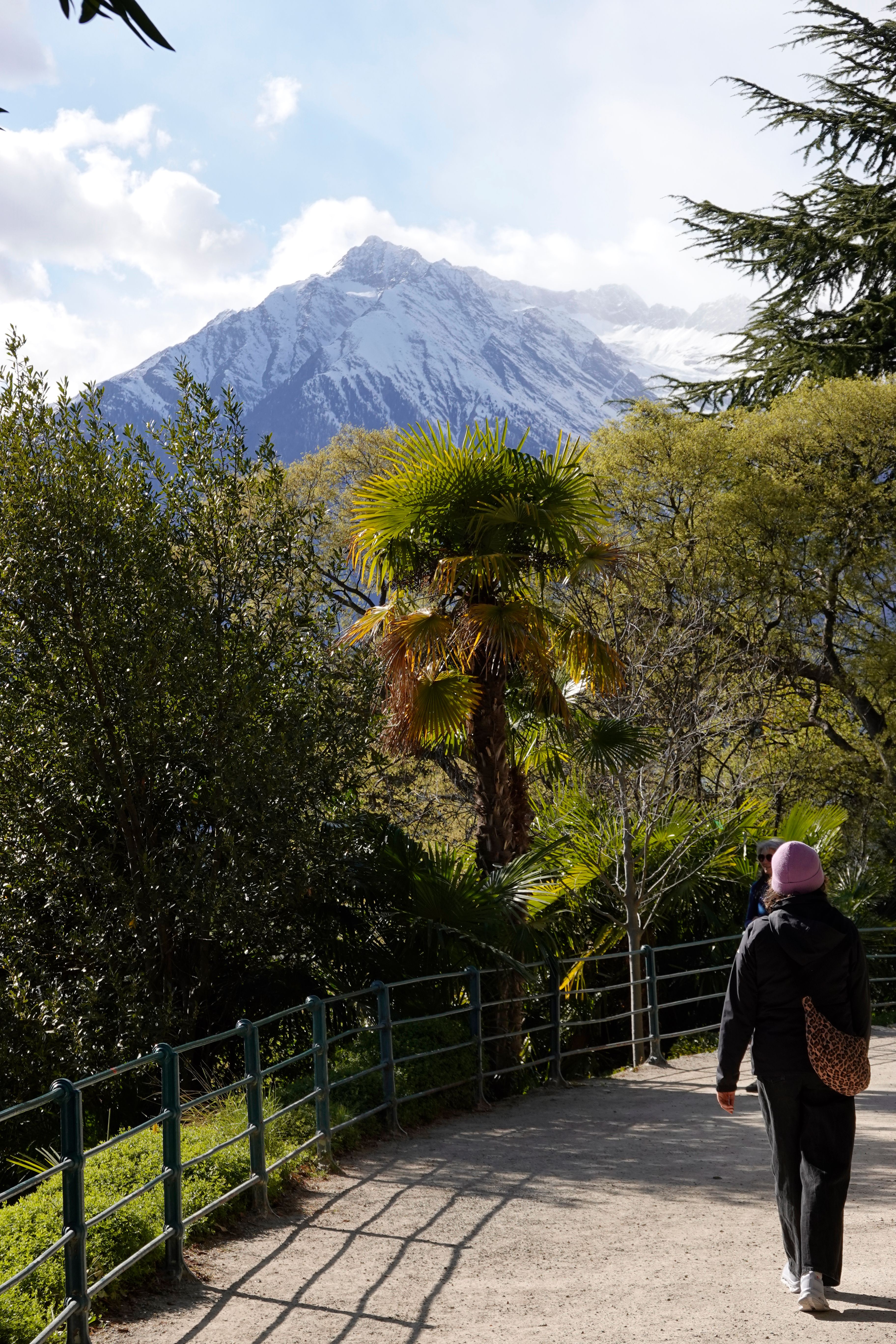 Cover 15 of 31 for "Meran"