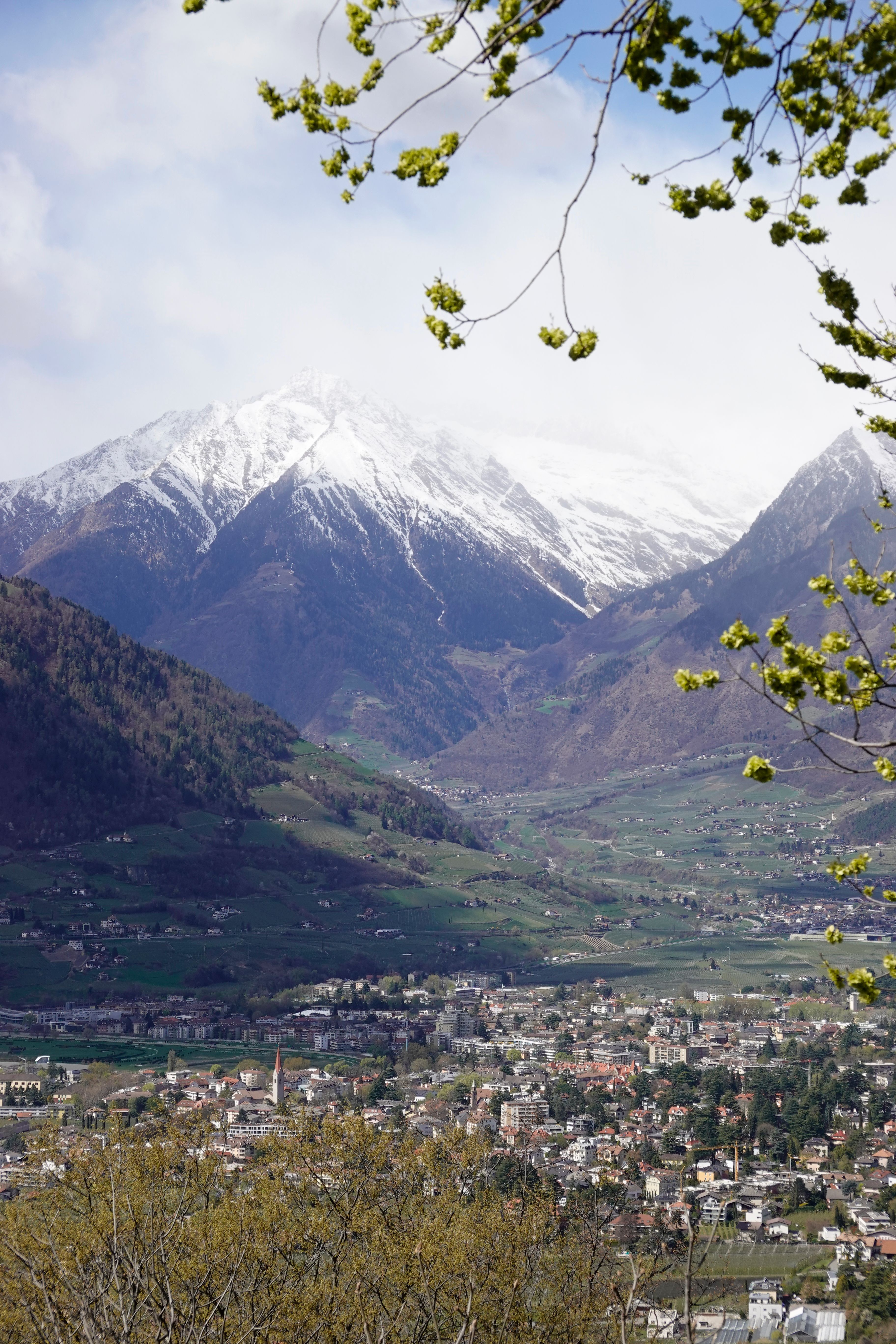 Cover 12 of 31 for "Meran"