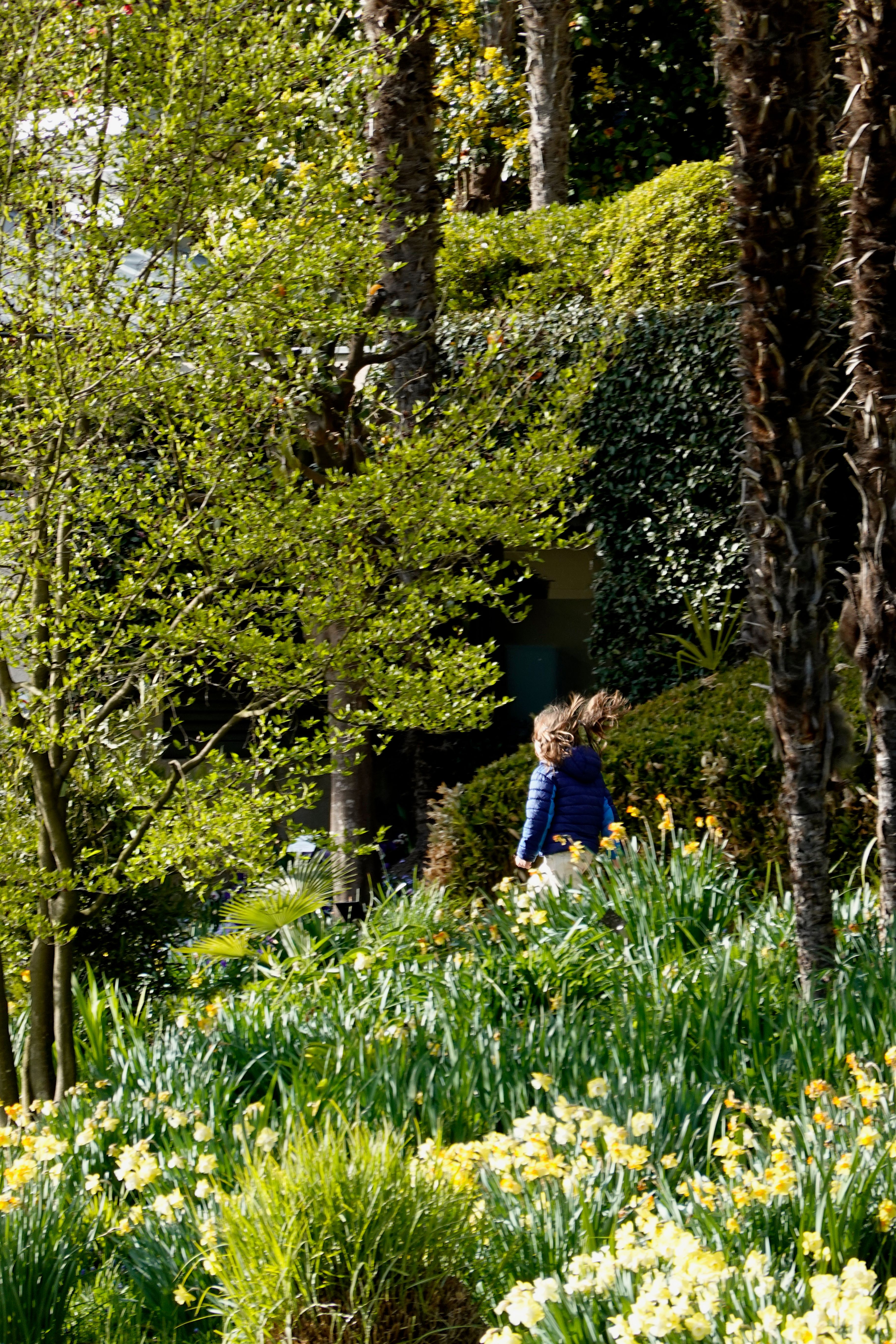 Cover 22 of 31 for "Meran"